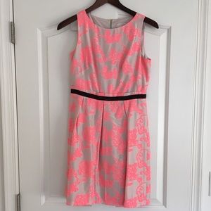 Tan and Pink Loft Dress